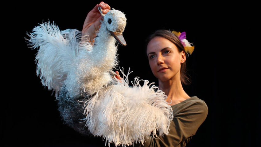 The Goose Who Flew at Brighton Dome