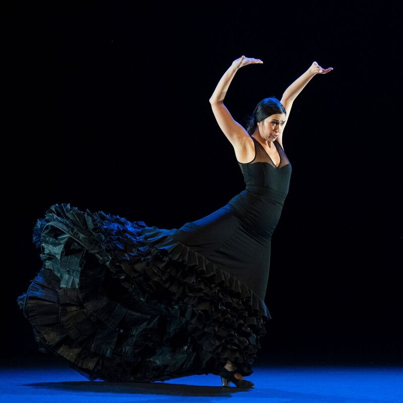 A flamenco dancer in a sweeping black dress