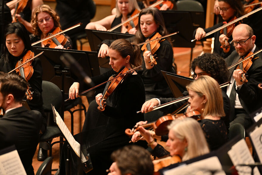 String section of an orchestra playing
