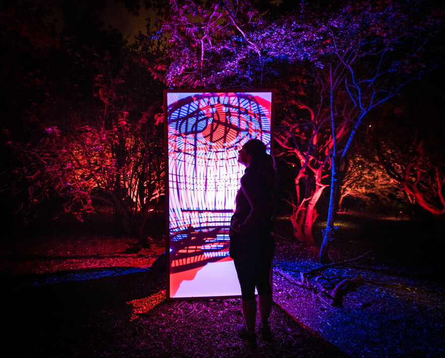 A person looking at some projections on a white screen against a backdrop of trees