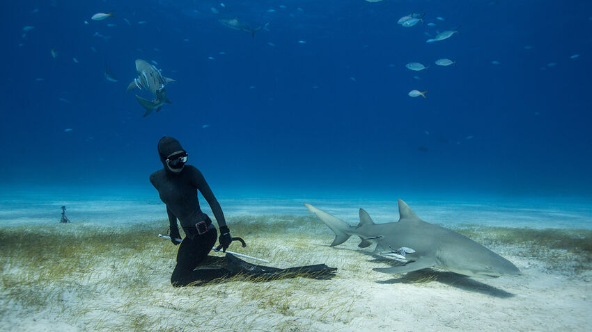 Ocean Film Festival 2018 at Brighton Dome