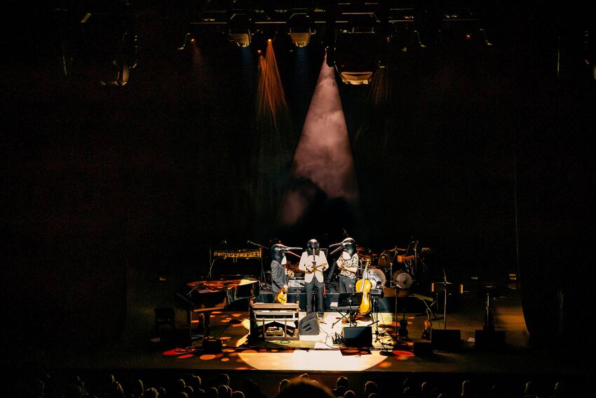 A group of musicians on stage wearing penguin heads