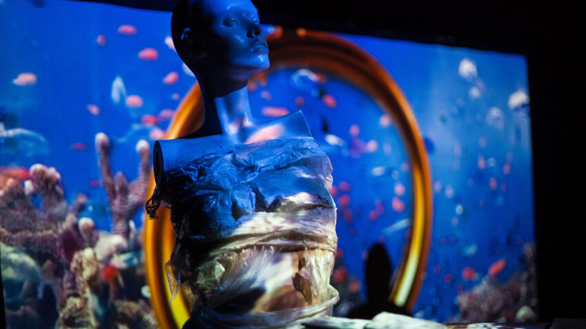 Memories of Mermaids