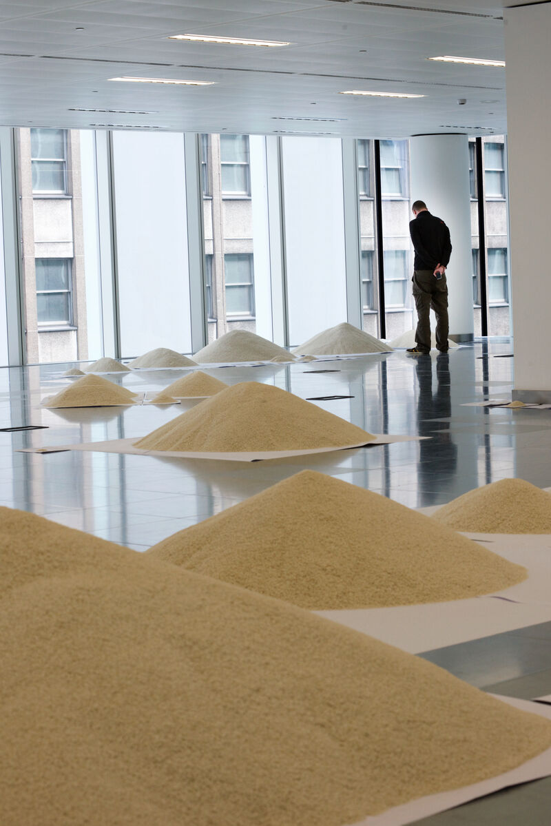 In a bright, white room with large windows, a man stands, with his hands behind his back. He is looking down at a pile of rice. Around him are other piles of rice, spotting around across the floor.