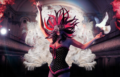 A person wearing a burlesque corset and a feather head piece. They are holding their arms up, with a white dove about to land on one hand. There is a dark theatre background