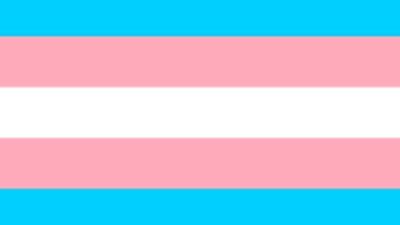 The trans pride flag