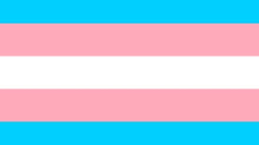 The trans pride flag