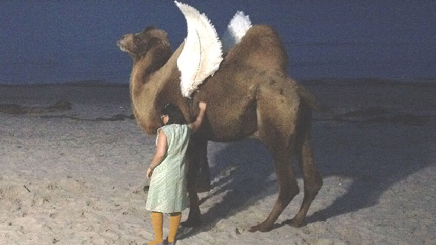 Oska Fil festival at brighton dome