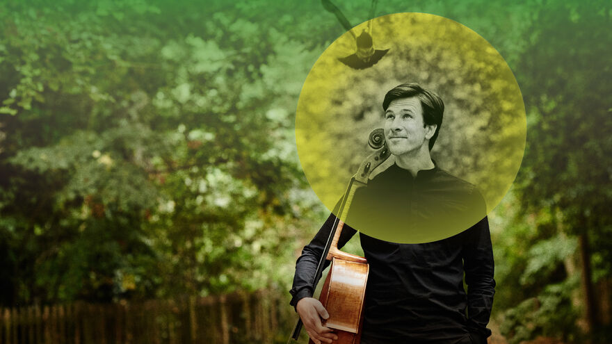 Man holding a cello walking in a forest with a yellow circle around his head