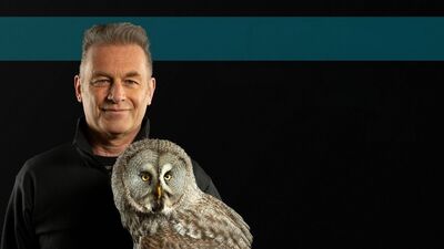 Chris Packham holding a grey owl from the shoulders up