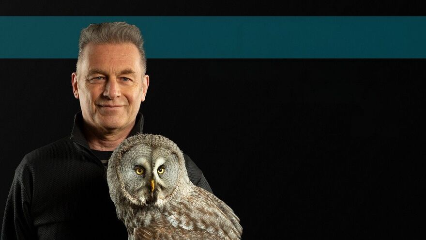 Chris Packham holding a grey owl from the shoulders up